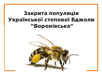Закрита популяція  Української степової Бджоли  "Воронівська"