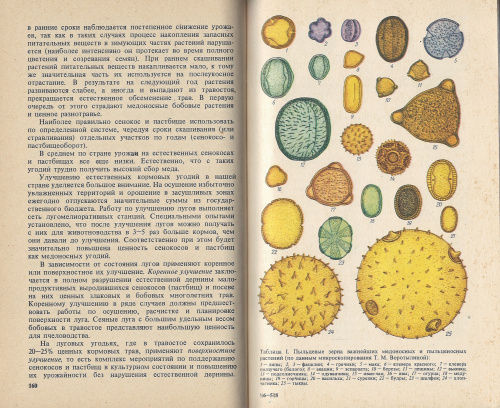 "Медоносные ресурсы и опыление сельскохозяйственных растений"  (изд. 4) Пономарева Е.Г., Детерлеева Н.Б. 1986 г.