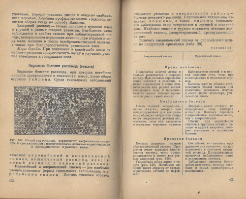 "Пчеловодство" (изд. 2, переработанное) Щербина П.С. 1956 г.