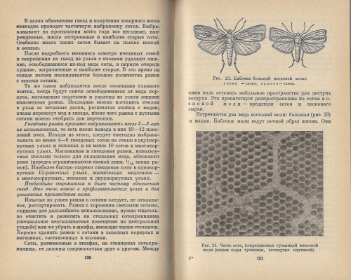 "Основы пчеловодства" (изд. 2) Виноградов В.П., Нуждин А.С., Розов С.А. 1966 г.