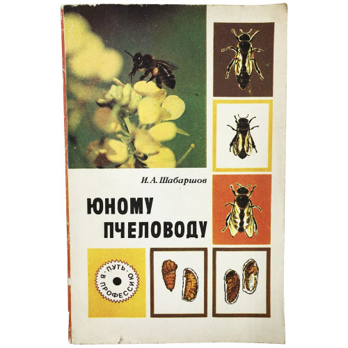 "Юному пчеловоду" (изд. 2) Шабаршов И.А 1988 г.