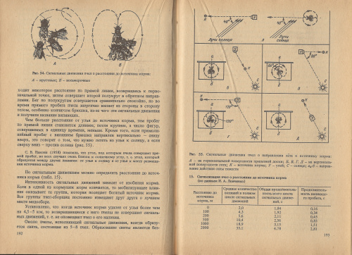 "Биология медоносной пчелы" Лебедев В.И, Билаш Н.Г. 1991 г.