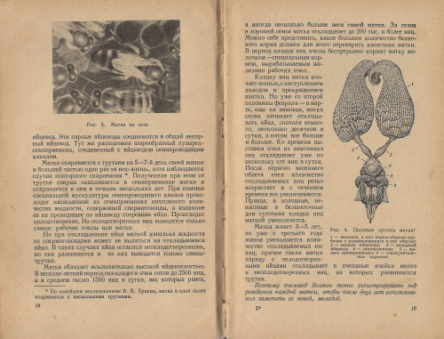 "Работа на пасеке" (изд. 2) Тюнин Ф.А., Перепелова Л.И. 1959 г.