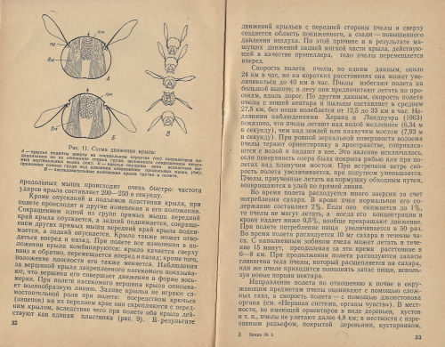 "Биология пчелиной семьи" Лаврехин Ф.А.,Панкова С.В. 1969 г.