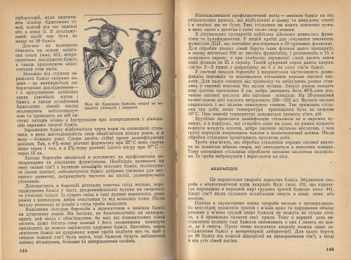 "Пчеловодство" (изд 3) Бабич И.А., Мегедь А.Г. 1979 г.