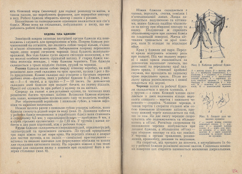 "Пчеловодство" Бабич И.А., Мегедь А.Г. 1969 г.