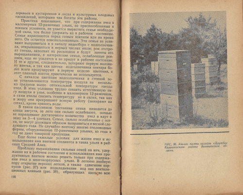 "Многокорпусный улей и методы пчеловождения" (изд. 3) Родионов В.В., Шабаршов И.А. 1968 г.